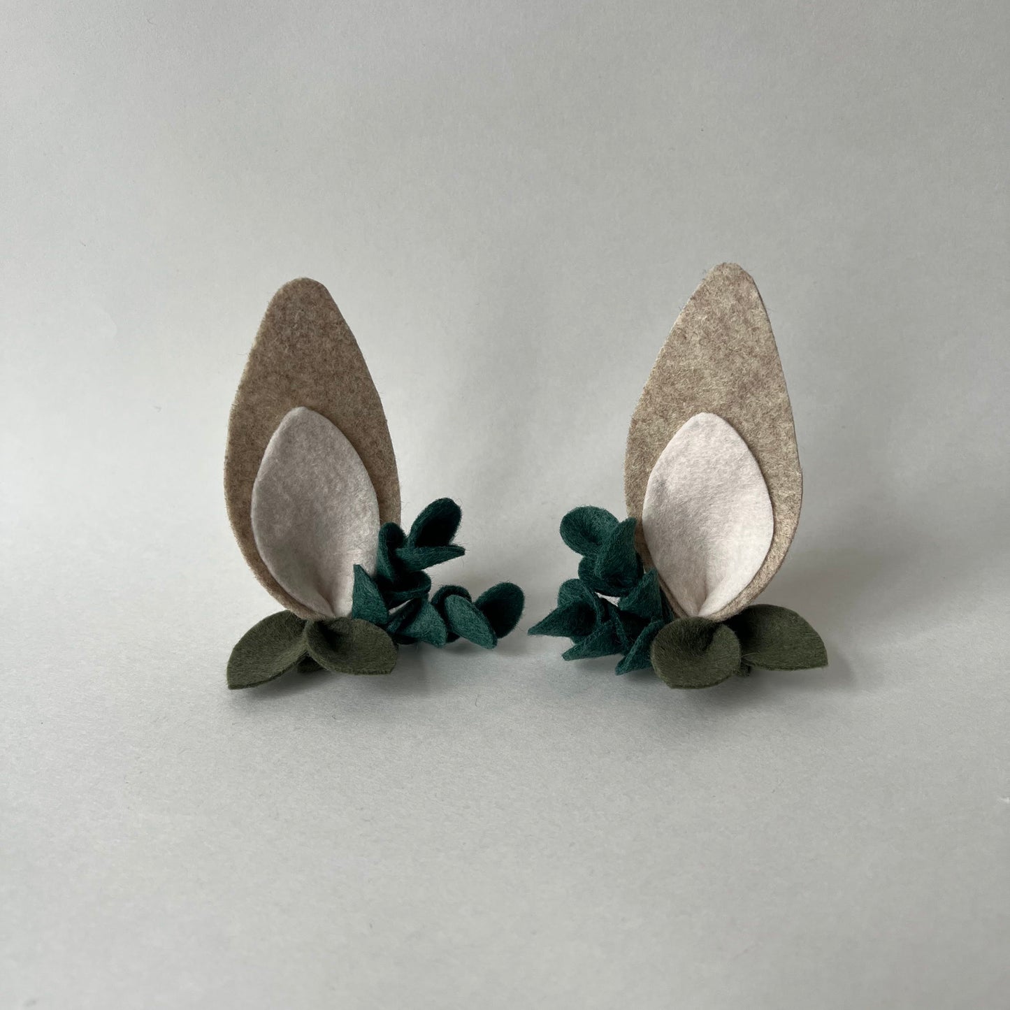 eucalyptus bunny ears