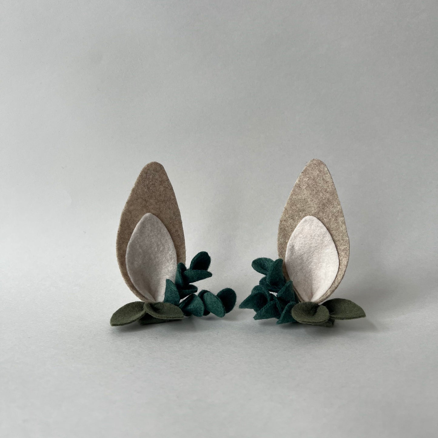 eucalyptus bunny ears