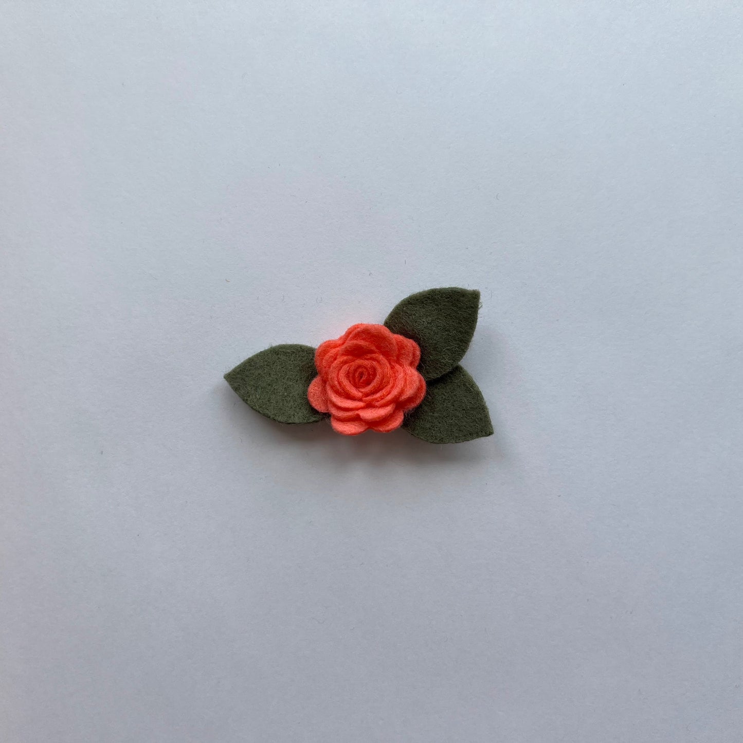 tiny summer single flowers