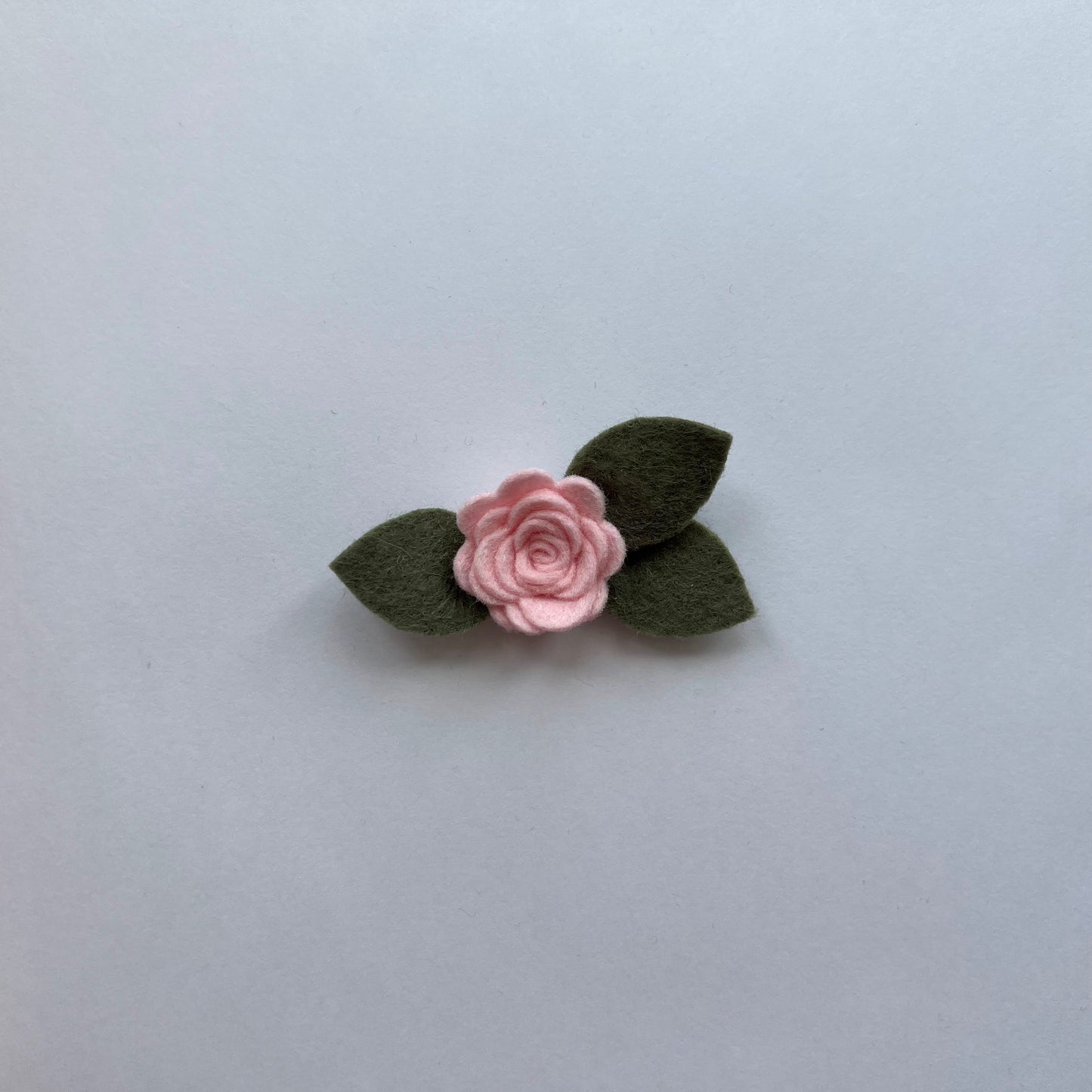 tiny summer single flowers