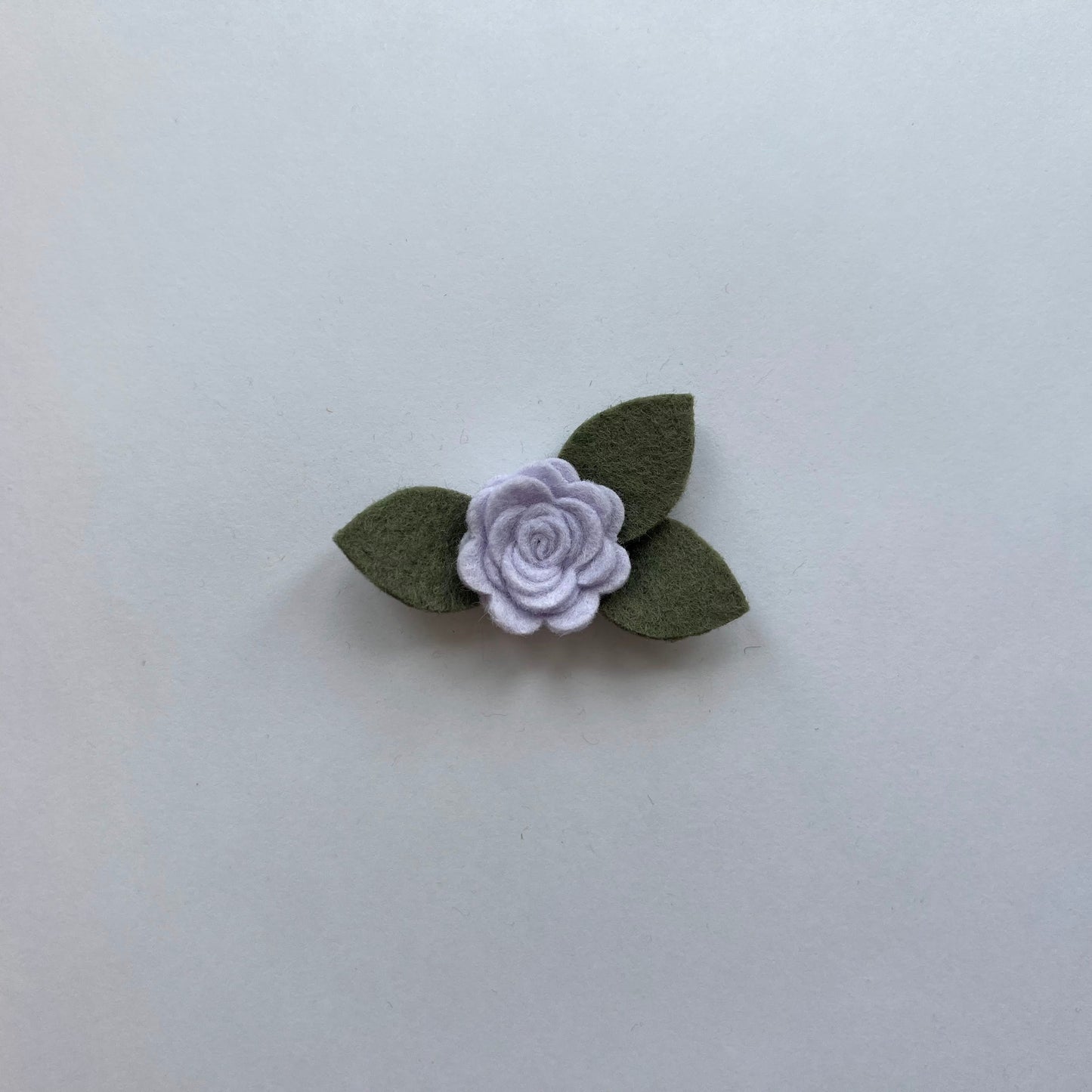 tiny summer single flowers