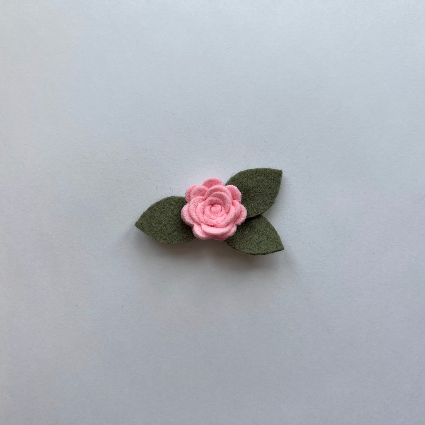 tiny summer single flowers
