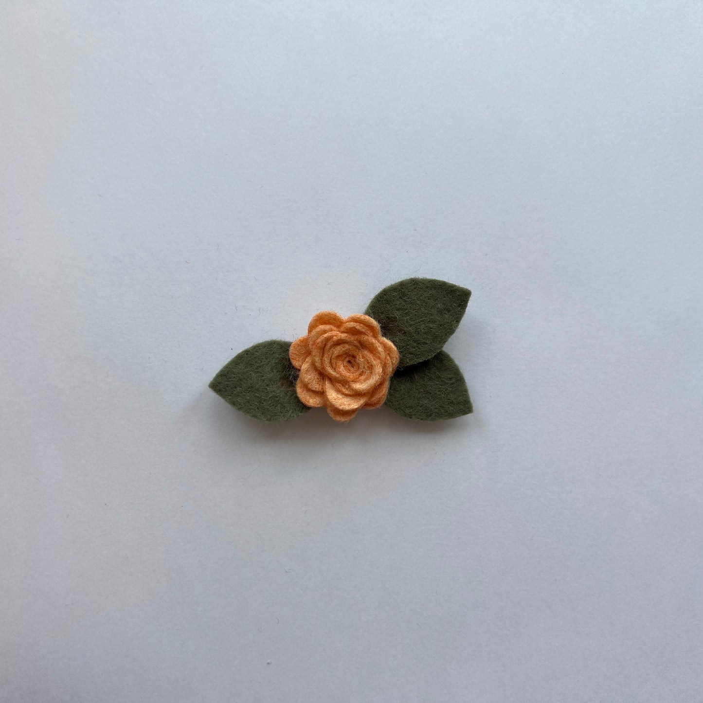 tiny summer single flowers