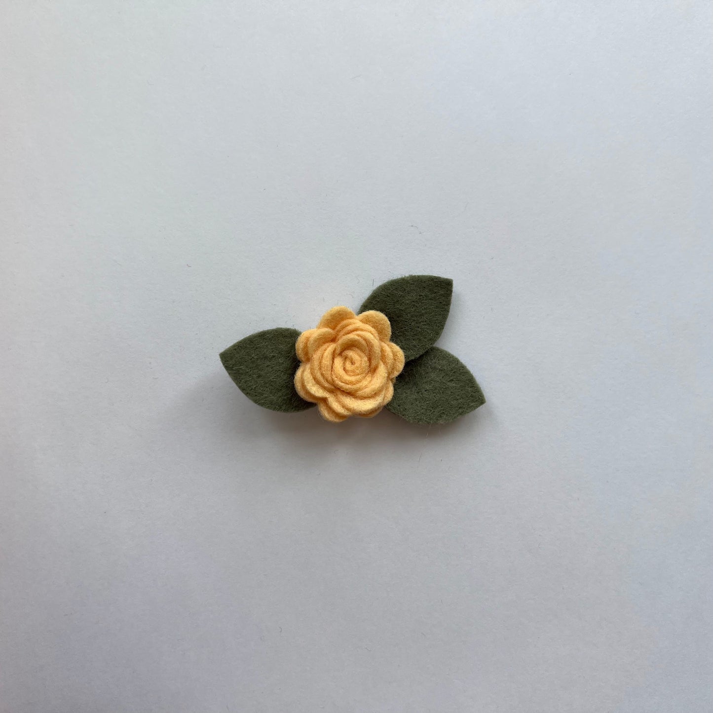 tiny summer single flowers