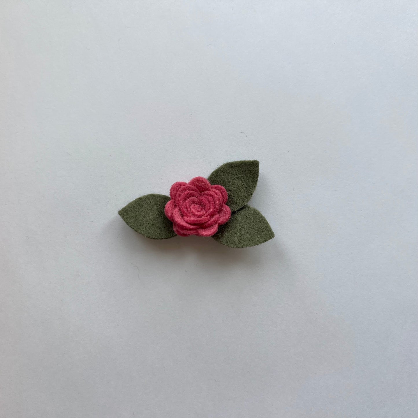 tiny summer single flowers