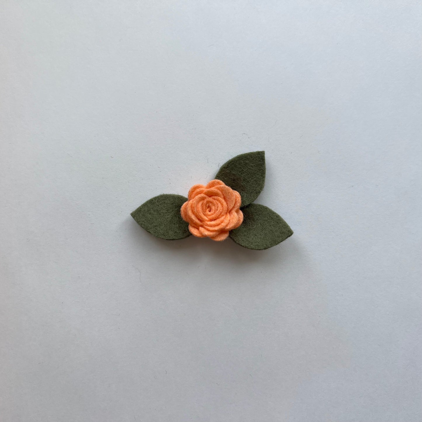 tiny summer single flowers
