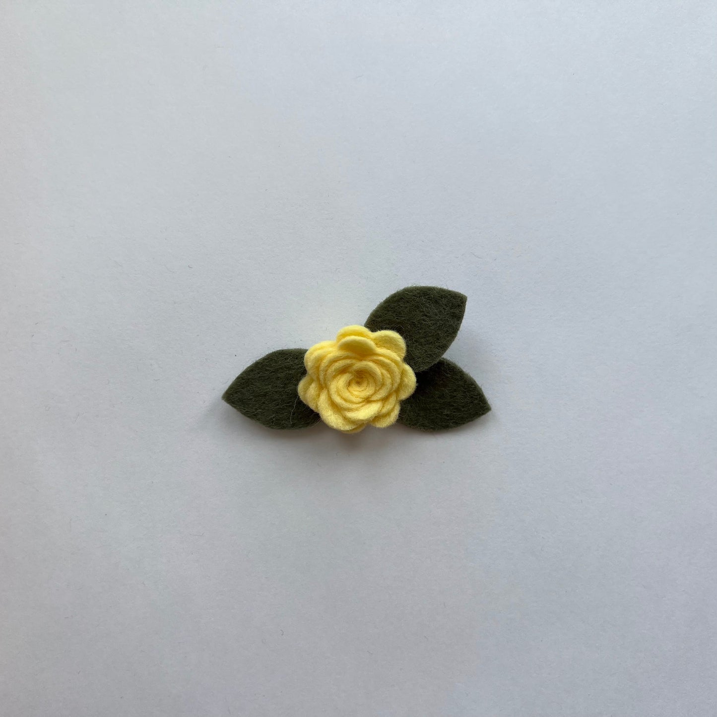 tiny summer single flowers