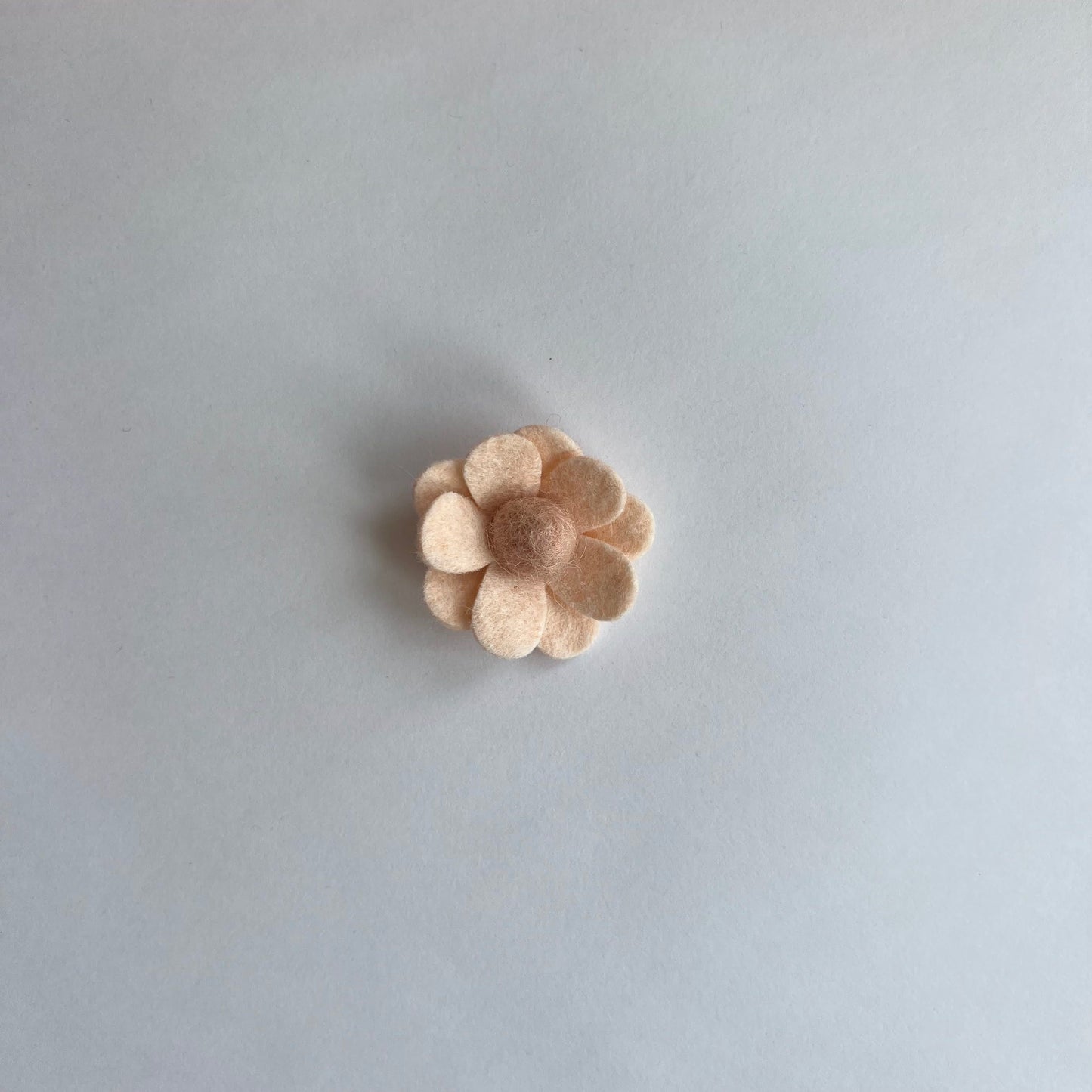 neutral daisies