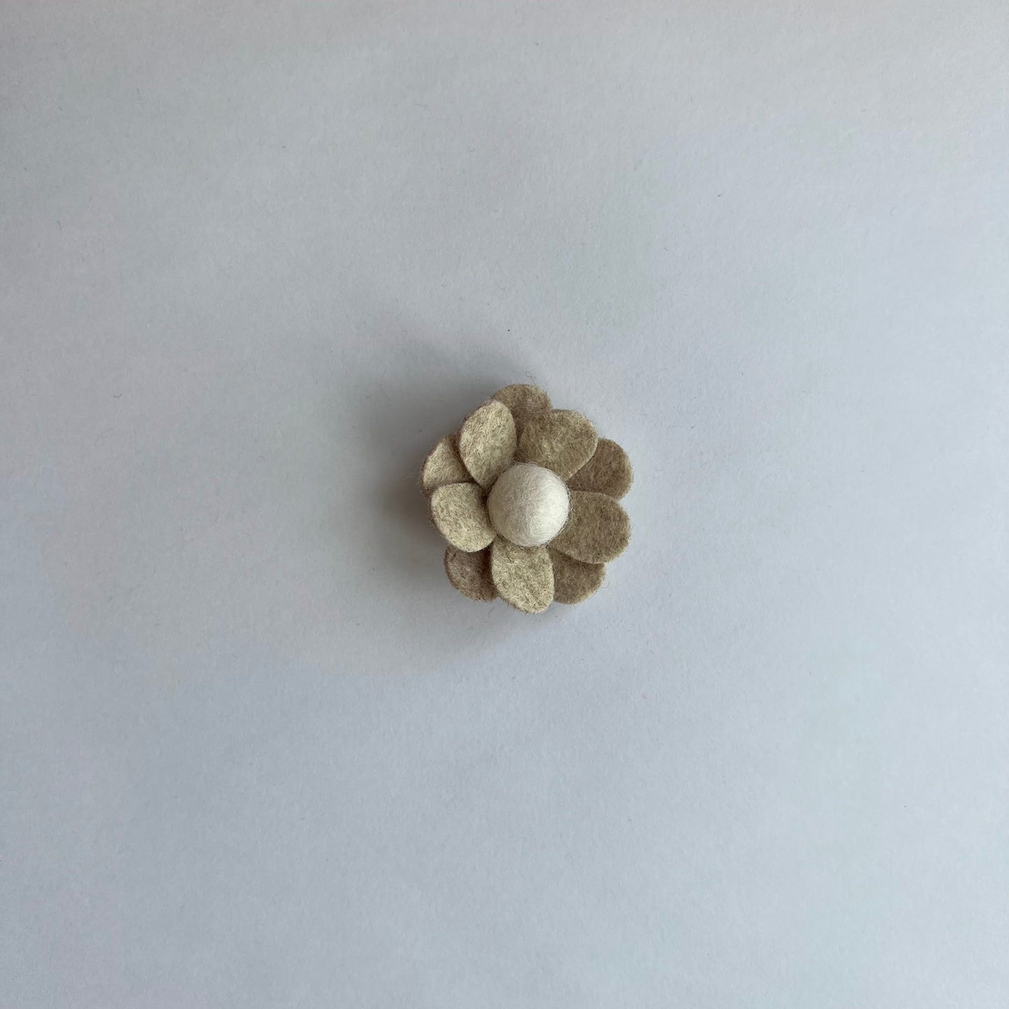 neutral daisies