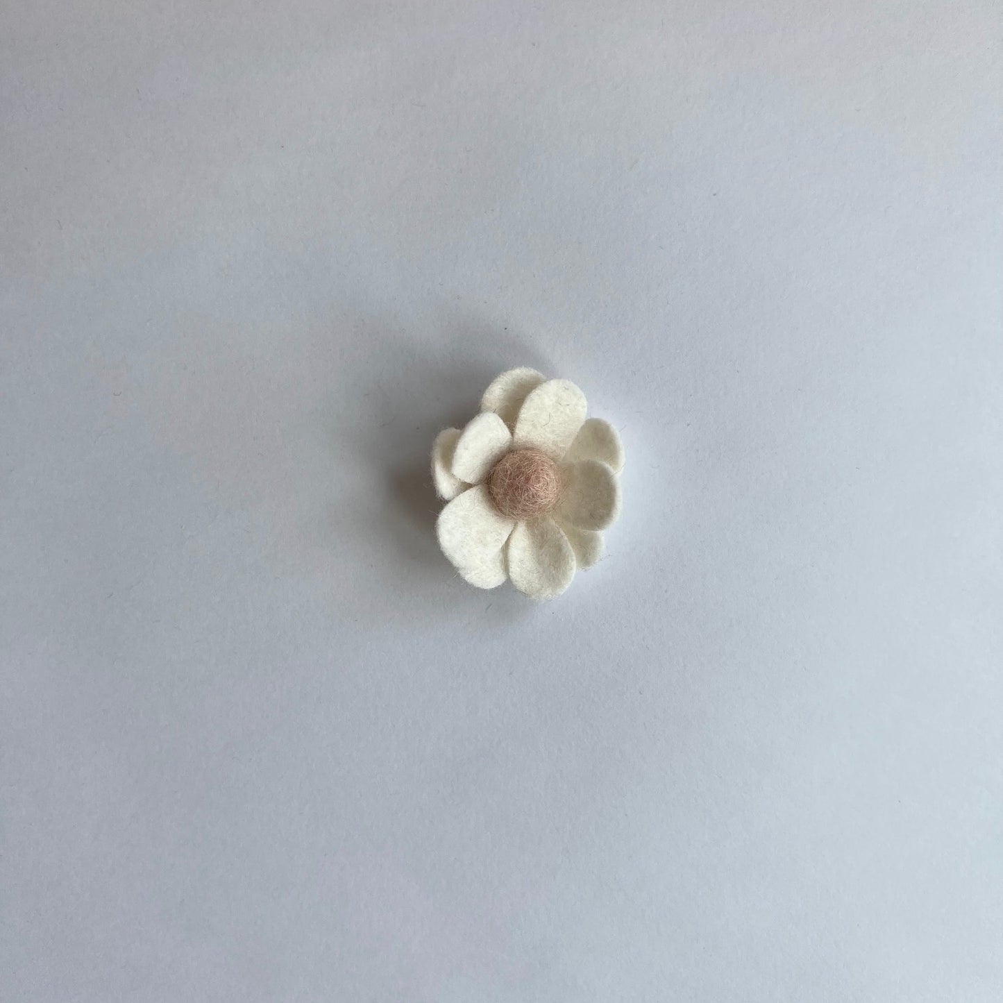 neutral daisies