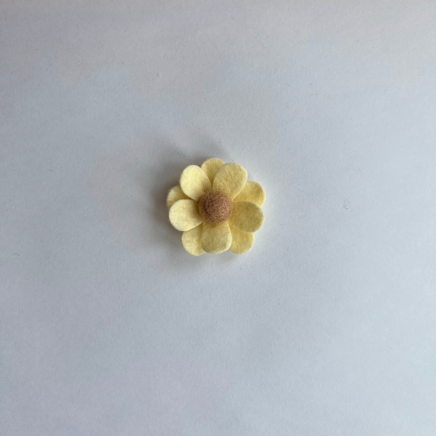summer daisies