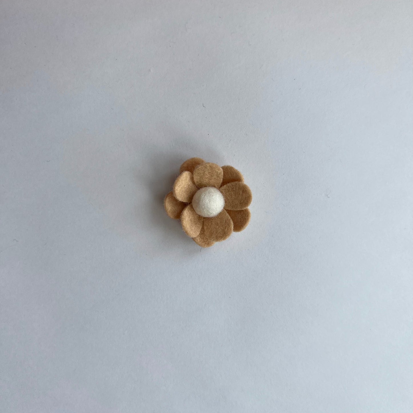 neutral daisies