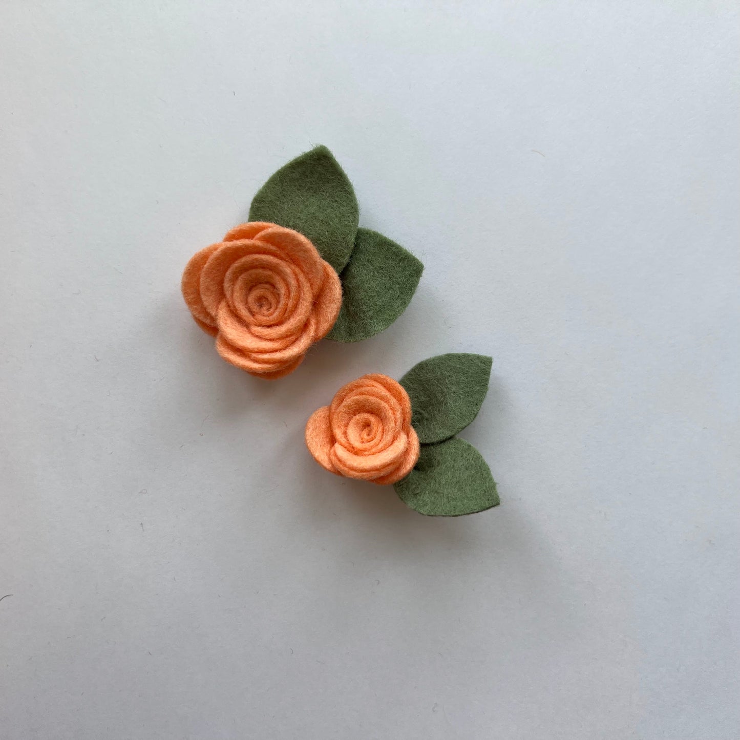 summer single flowers