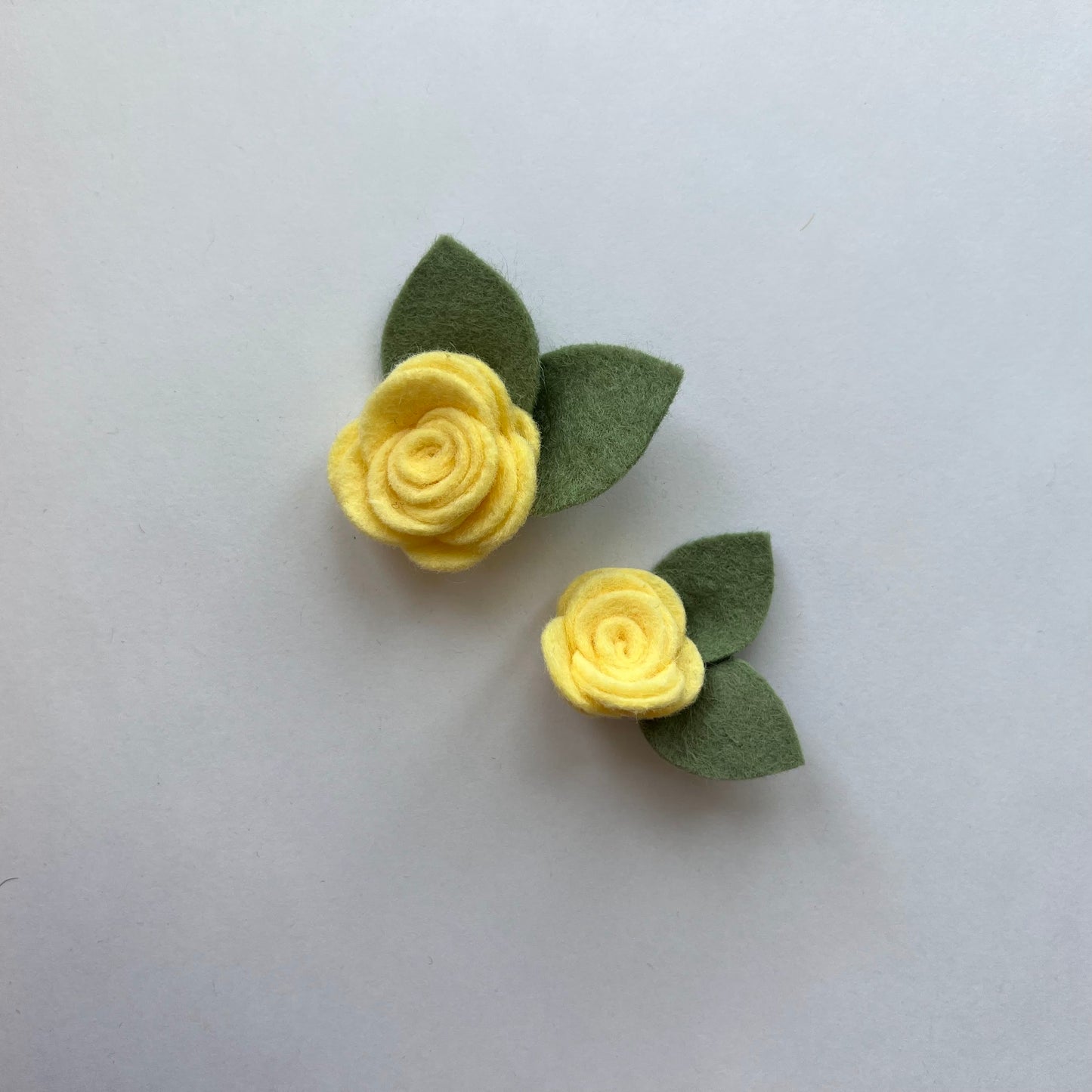 summer single flowers