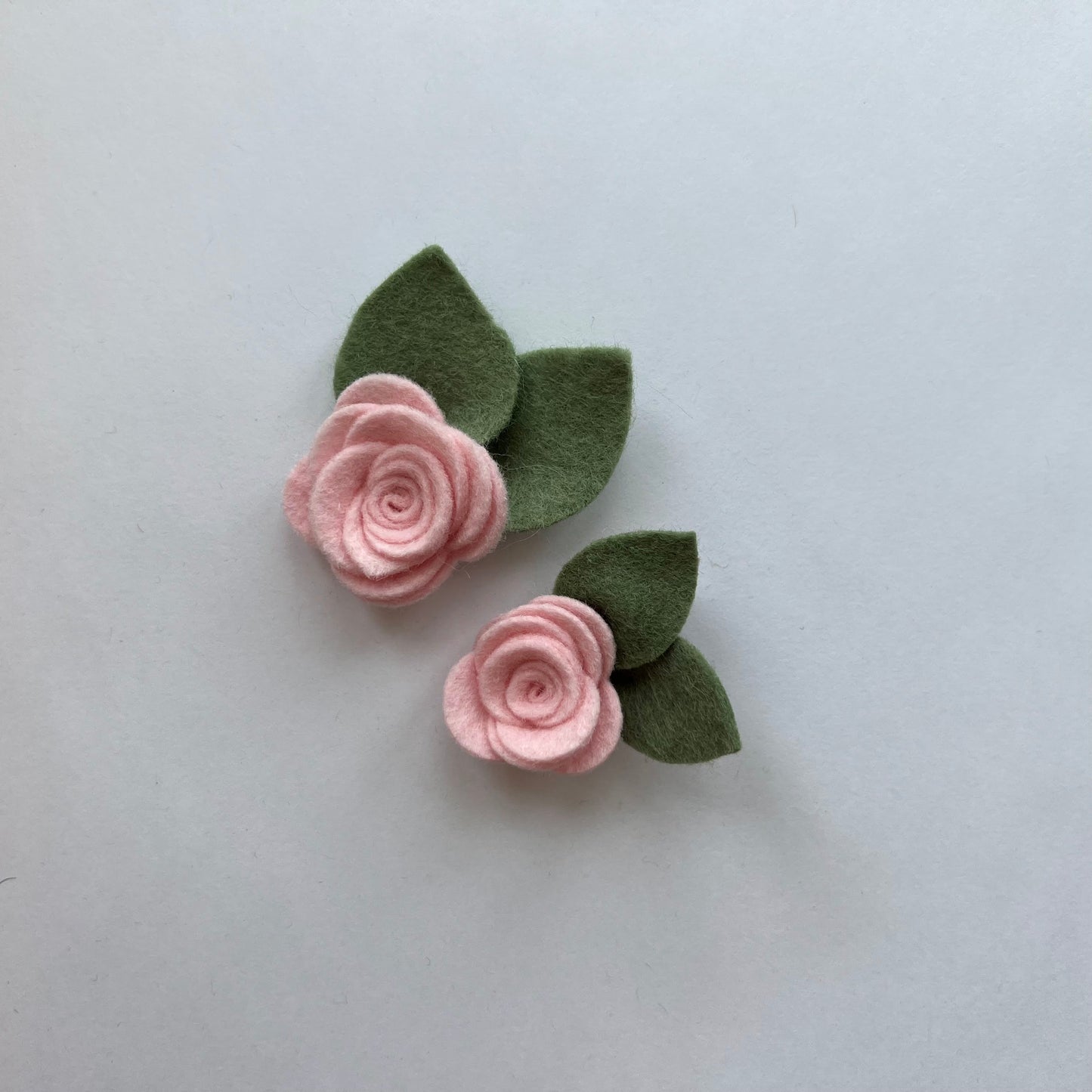summer single flowers
