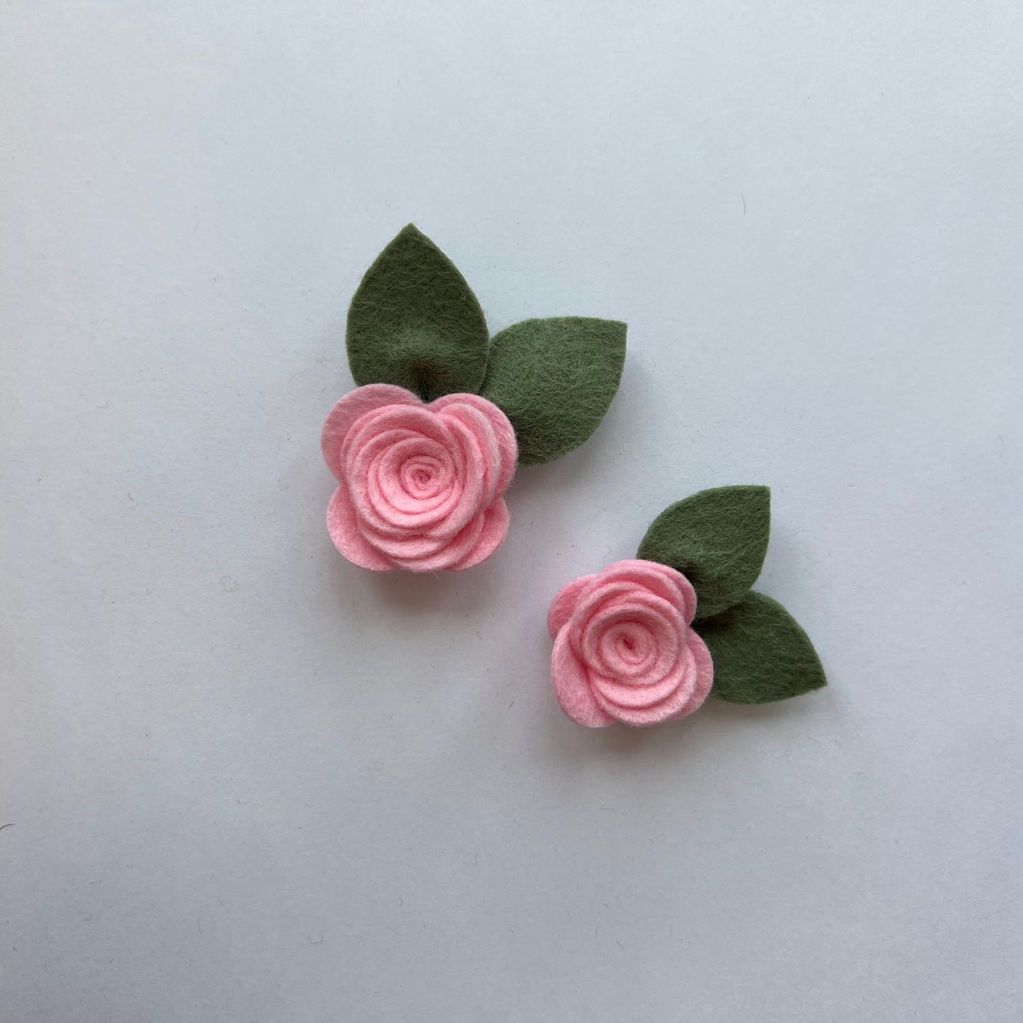 summer single flowers