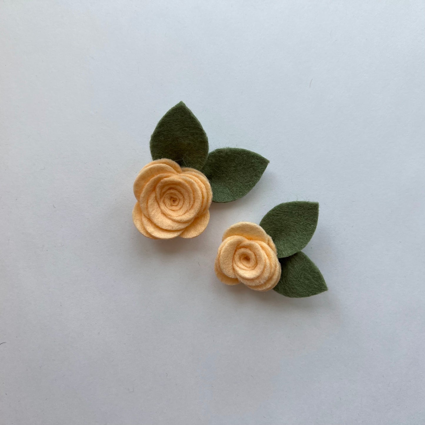 summer single flowers