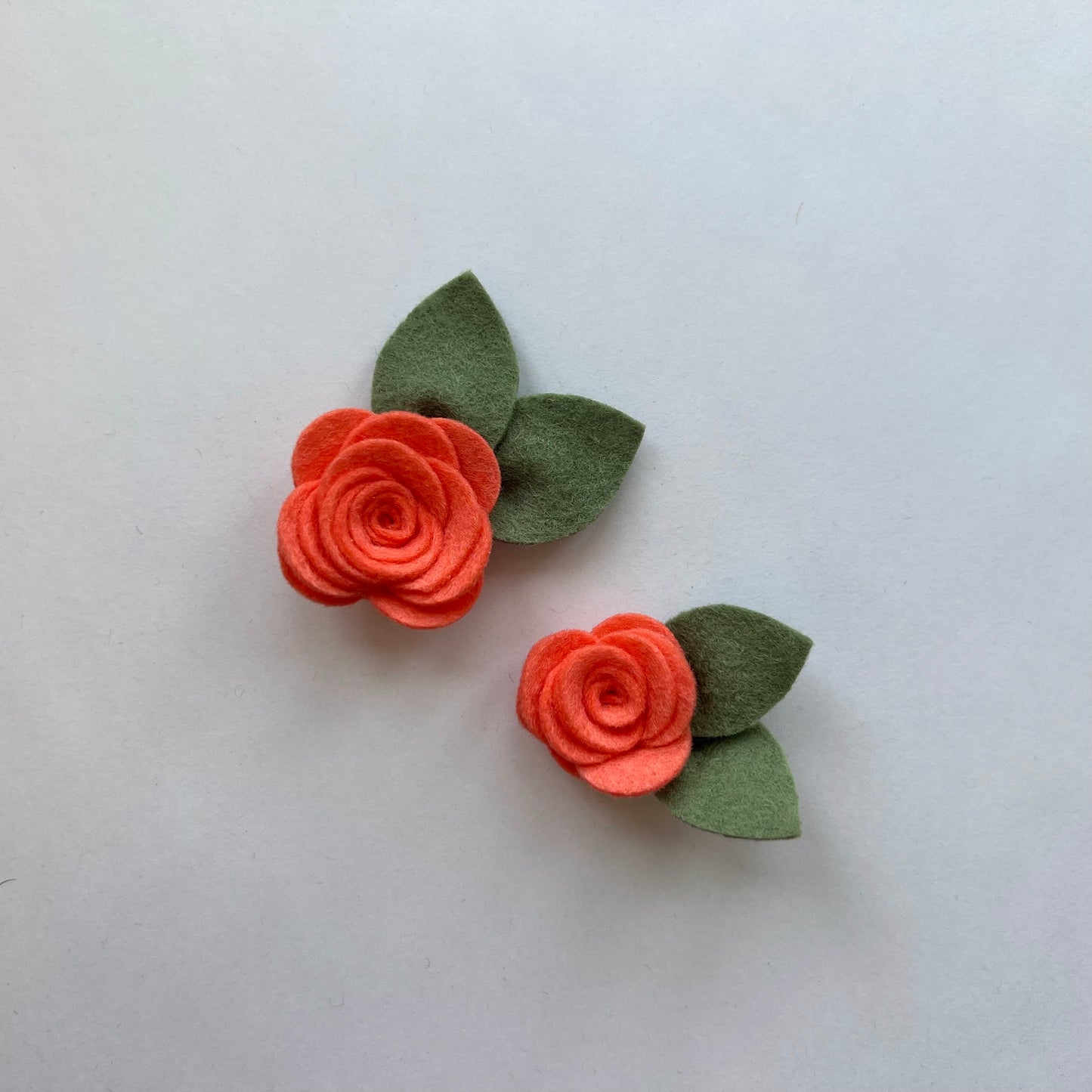 summer single flowers