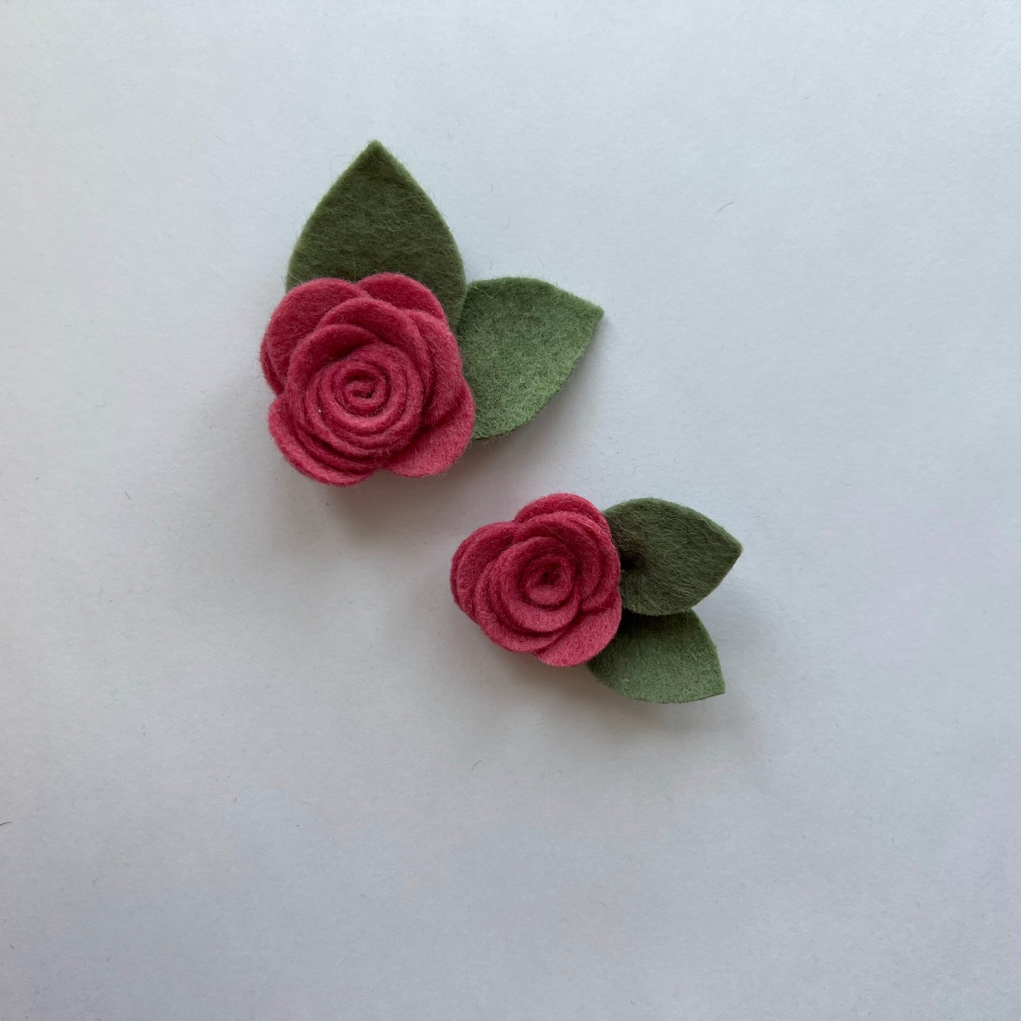 summer single flowers