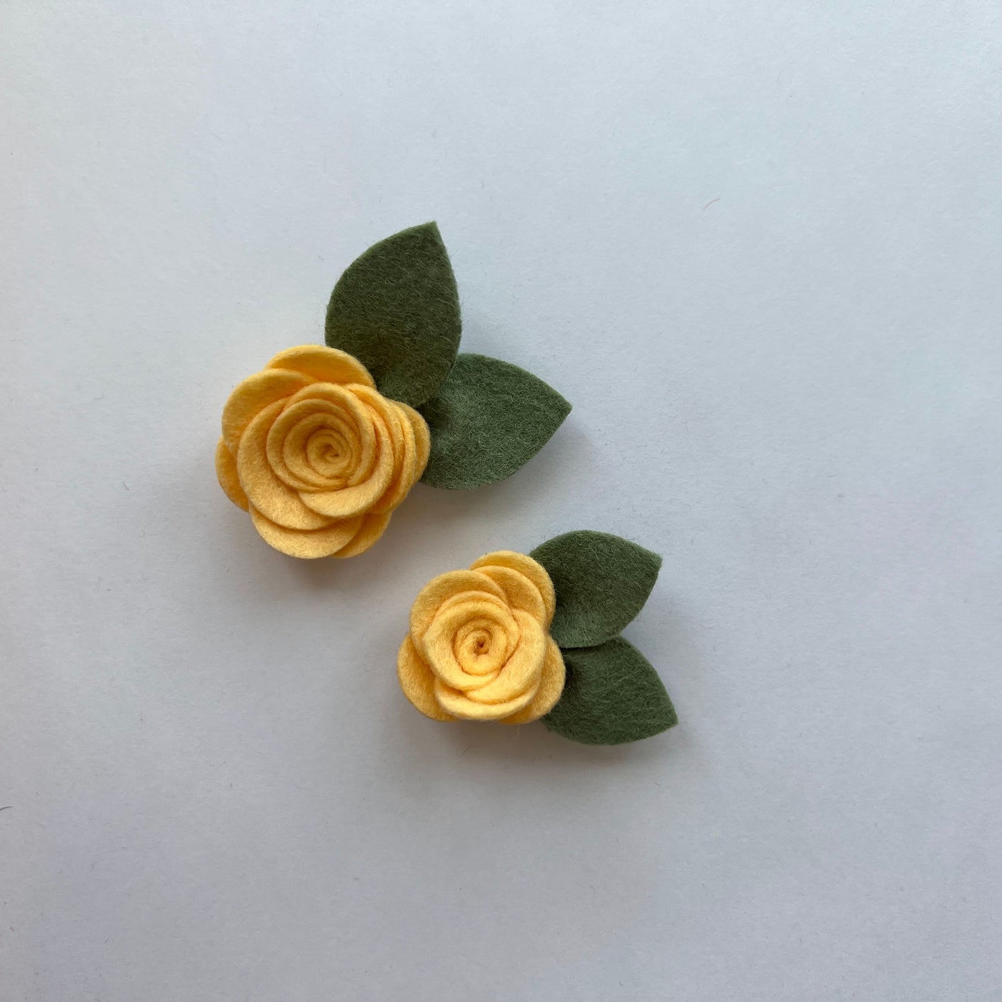 summer single flowers
