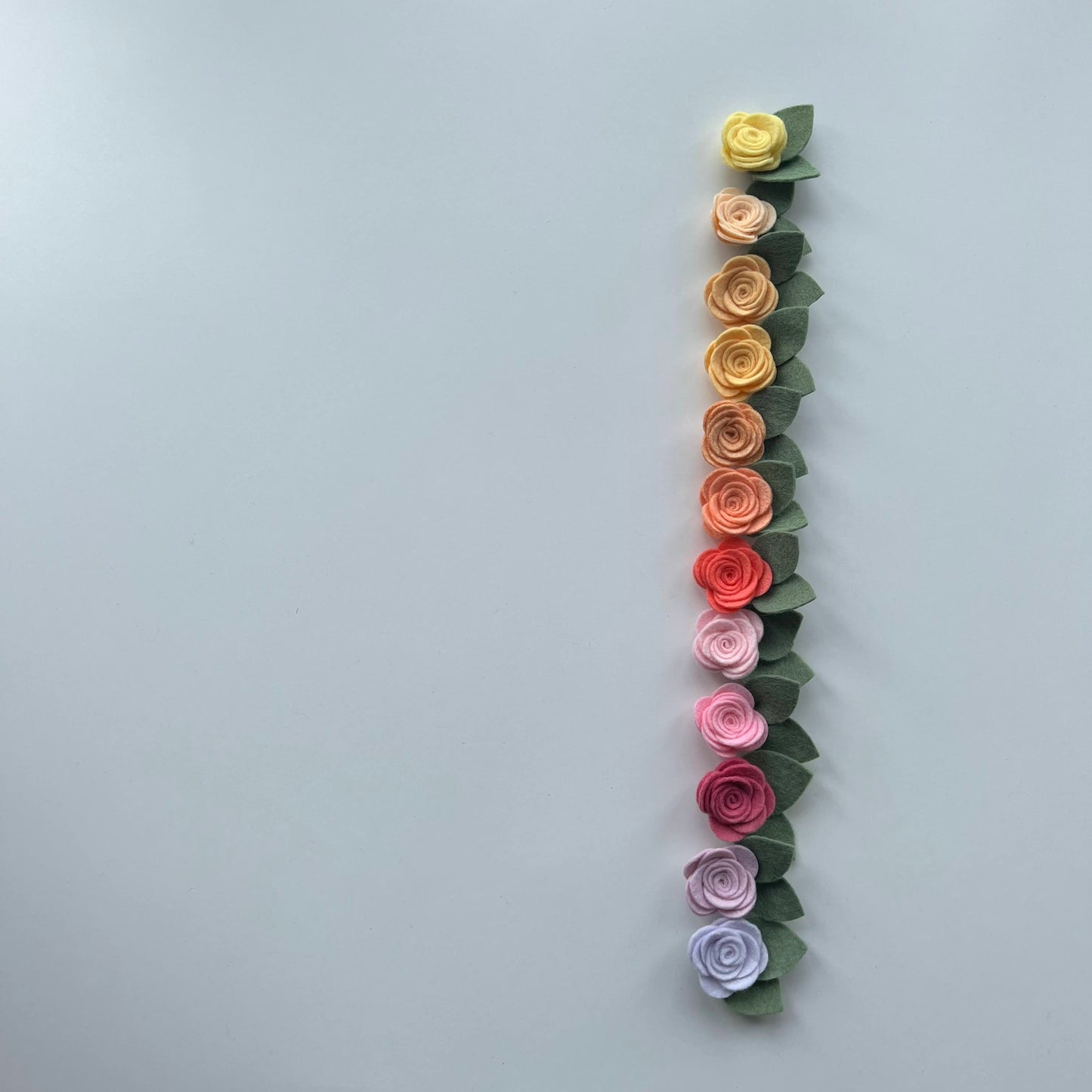 summer single flowers