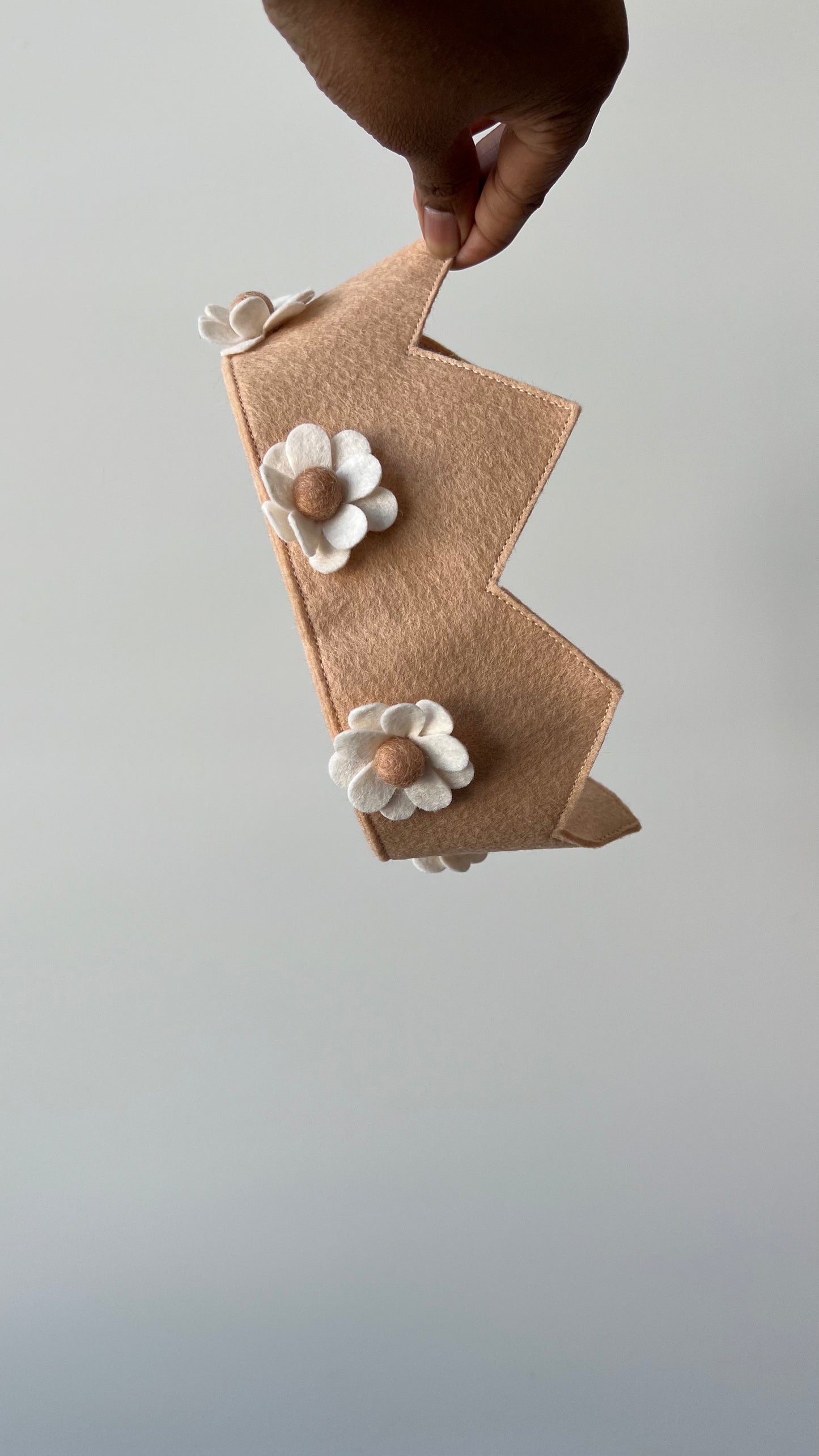 Neutral Boho Daisy Crown