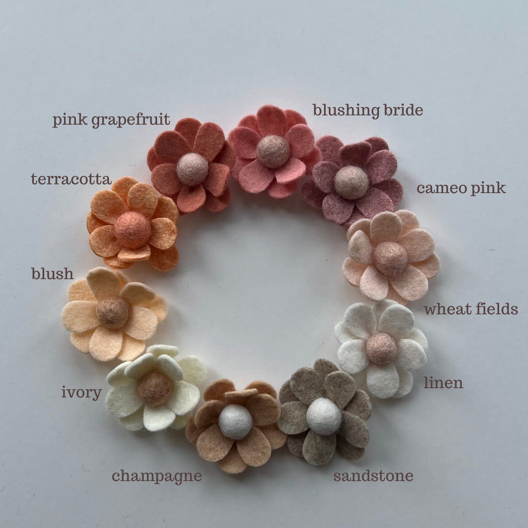 neutral daisies
