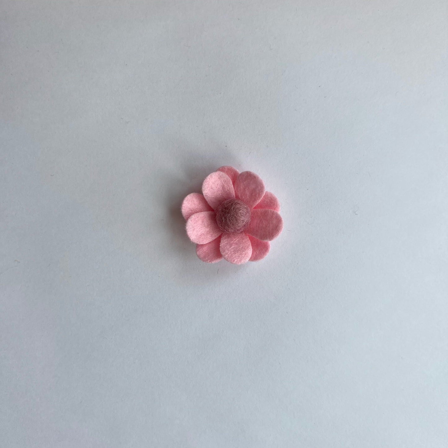 summer daisies
